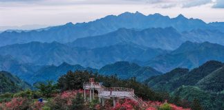 Cina: azalee alpine rilanciano il turismo rurale nello Zhejiang (1)