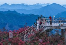 Cina: azalee alpine rilanciano il turismo rurale nello Zhejiang (2)