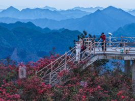 Cina: azalee alpine rilanciano il turismo rurale nello Zhejiang (2)