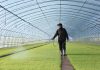 Cina: proseguono le attività agricole primaverili nello Heilongjiang (1)