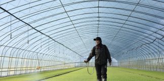 Cina: proseguono le attività agricole primaverili nello Heilongjiang (1)