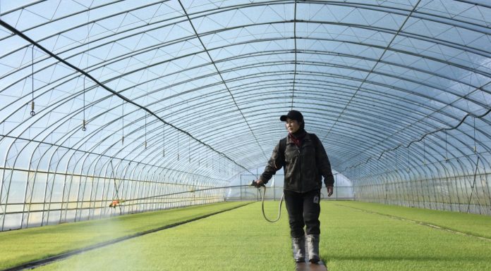 Cina: proseguono le attività agricole primaverili nello Heilongjiang (1)