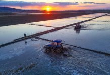 Cina: proseguono le attività agricole primaverili nello Heilongjiang (3)