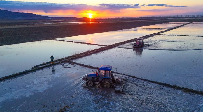 Cina: proseguono le attività agricole primaverili nello Heilongjiang (3)