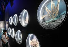 Cina: inaugurato Museo della scienza e della tecnologia di Hainan (3)