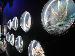 Cina: inaugurato Museo della scienza e della tecnologia di Hainan (3)