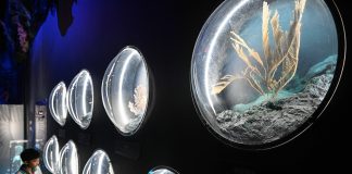 Cina: inaugurato Museo della scienza e della tecnologia di Hainan (3)