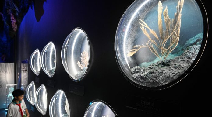 Cina: inaugurato Museo della scienza e della tecnologia di Hainan (3)