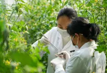 Cina: Shouguang hub chiave per semi e biodiversità (1)