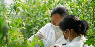 Cina: Shouguang hub chiave per semi e biodiversità (1)