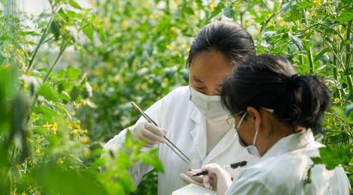 Cina: Shouguang hub chiave per semi e biodiversità (1)