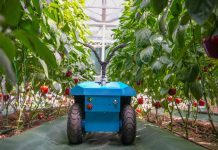 Cina: agricoltura automatizzata all’International Vegetable Science & Technology Expo (2)