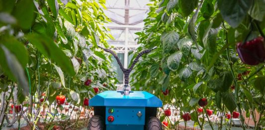 Cina: agricoltura automatizzata all’International Vegetable Science & Technology Expo (2)