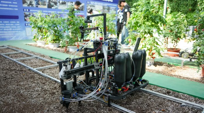 Cina: agricoltura automatizzata all’International Vegetable Science & Technology Expo (3)