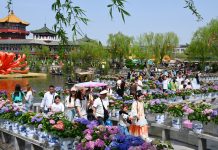 Cina: Festa di Qingming, 135 mln viaggi turistici interni durante vacanze (2)