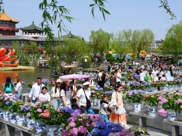 Cina: Festa di Qingming, 135 mln viaggi turistici interni durante vacanze (2)