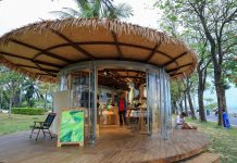 Cina: Shenzhen trasforma i parchi in spazi urbani smart e di qualità (1)