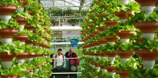 Cina: Shouguang, al via 27esima International Vegetable Science & Technology Expo (1)