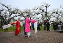 Cina: la fioritura dei peri stimola il turismo nell’Anhui (2)