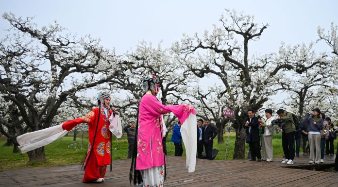 Cina: la fioritura dei peri stimola il turismo nell’Anhui (2)