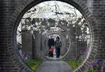 Cina: la fioritura dei peri stimola il turismo nell’Anhui (3)