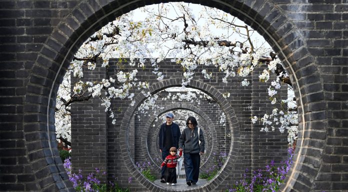 Cina: la fioritura dei peri stimola il turismo nell’Anhui (3)