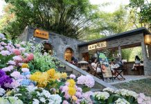 Cina: Shenzhen trasforma i parchi in spazi urbani smart e di qualità (2)