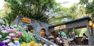 Cina: Shenzhen trasforma i parchi in spazi urbani smart e di qualità (2)