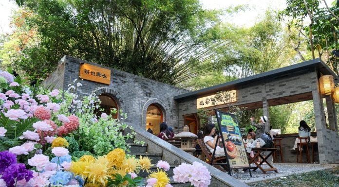 Cina: Shenzhen trasforma i parchi in spazi urbani smart e di qualità (2)