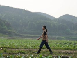 Cina: giovane agricoltrice porta innovazione e competenze nei campi (2)