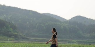 Cina: giovane agricoltrice porta innovazione e competenze nei campi (2)