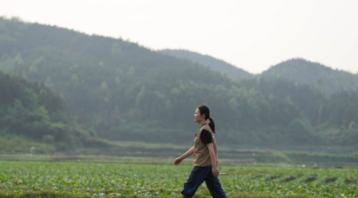 Cina: giovane agricoltrice porta innovazione e competenze nei campi (2)