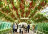 Cina: Shouguang, al via 27esima International Vegetable Science & Technology Expo (2)