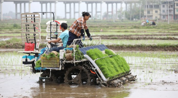 Cina: prosegue il lavoro agricolo primaverile nelle zone centrali del Paese