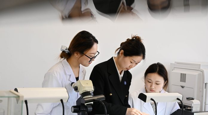 Cina: Qingdao Preschool Education College introduce corso di gioielleria (1)