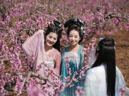 Cina: Xi’an, i fiori di pesco fanno da cornice ad eventi culturali (1)