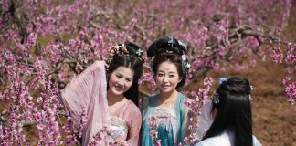 Cina: Xi’an, i fiori di pesco fanno da cornice ad eventi culturali (1)