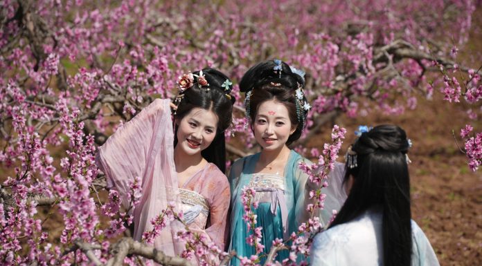 Cina: Xi’an, i fiori di pesco fanno da cornice ad eventi culturali (1)