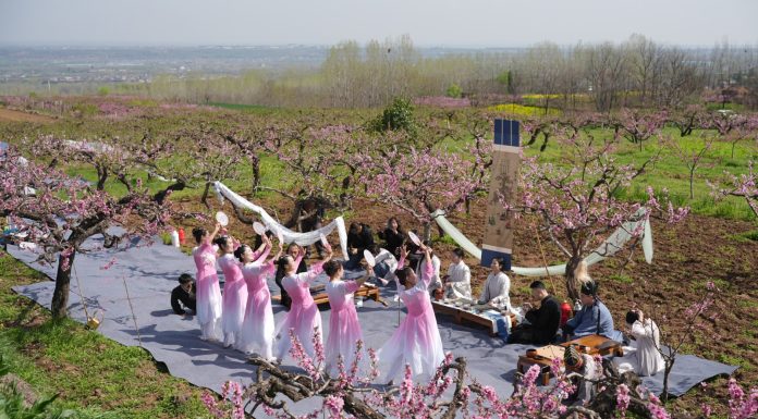 Cina: Xi’an, i fiori di pesco fanno da cornice ad eventi culturali (2)