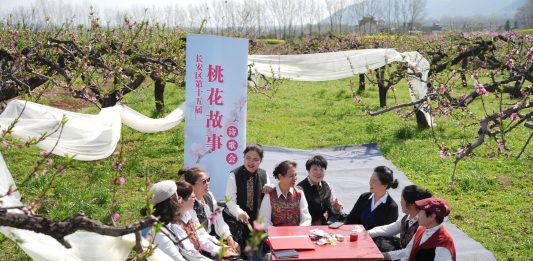 Cina: Xi’an, i fiori di pesco fanno da cornice ad eventi culturali (3)