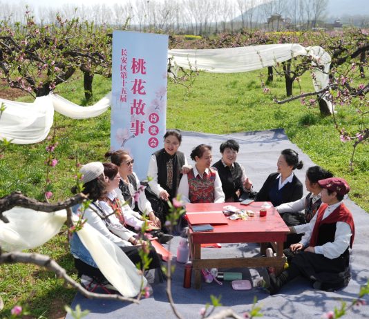 Cina: Xi’an, i fiori di pesco fanno da cornice ad eventi culturali (3)