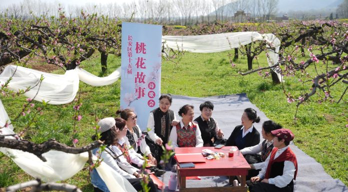 Cina: Xi’an, i fiori di pesco fanno da cornice ad eventi culturali (3)