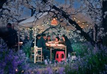 Cina: la fioritura dei peri stimola il turismo nell’Anhui (1)