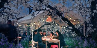 Cina: la fioritura dei peri stimola il turismo nell’Anhui (1)