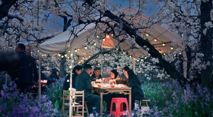 Cina: la fioritura dei peri stimola il turismo nell’Anhui (1)
