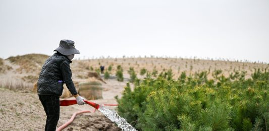 Cina: Tongliao sviluppa progetto di lotta alla desertificazione (1)