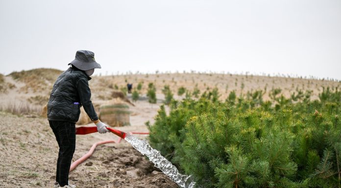 Cina: Tongliao sviluppa progetto di lotta alla desertificazione (1)