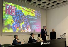 Col progetto MUVIN Verona punta al centro nazionale della cultura del vino