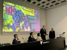 Col progetto MUVIN Verona punta al centro nazionale della cultura del vino