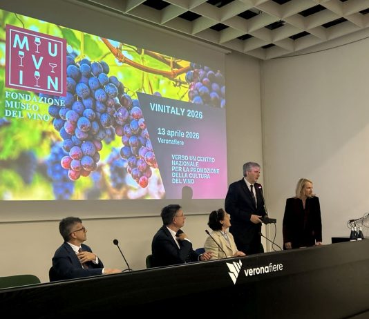 Col progetto MUVIN Verona punta al centro nazionale della cultura del vino